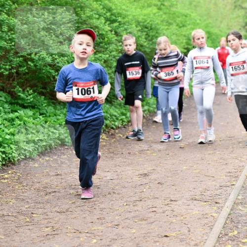 19.04.2026 - Hammer Lauf Dr. Thomas Lammeyer http://msf.ph/oto/9528565 19.04.2026 09:28:02 Laufen 1061, 1536, 365, 1064, 1653, 851 meine-sportfotos.de