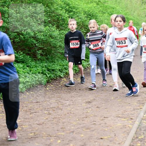 19.04.2026 - Hammer Lauf Dr. Thomas Lammeyer http://msf.ph/oto/9528570 19.04.2026 09:28:03 Laufen 1536, 365, 1653, 851 meine-sportfotos.de