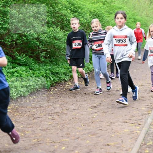 19.04.2026 - Hammer Lauf Dr. Thomas Lammeyer http://msf.ph/oto/9528573 19.04.2026 09:28:03 Laufen 160, 1536, 365, 1653, 851 meine-sportfotos.de