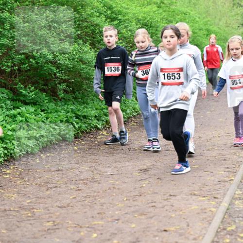 19.04.2026 - Hammer Lauf Dr. Thomas Lammeyer http://msf.ph/oto/9528574 19.04.2026 09:28:03 Laufen 1536, 1653, 851 meine-sportfotos.de