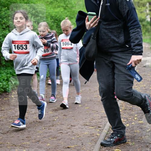 19.04.2026 - Hammer Lauf Dr. Thomas Lammeyer http://msf.ph/oto/9528576 19.04.2026 09:28:03 Laufen 1653, 1064 meine-sportfotos.de