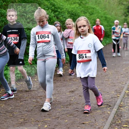 19.04.2026 - Hammer Lauf Dr. Thomas Lammeyer http://msf.ph/oto/9528588 19.04.2026 09:28:05 Laufen 365, 1536, 1064, 175, 851 meine-sportfotos.de