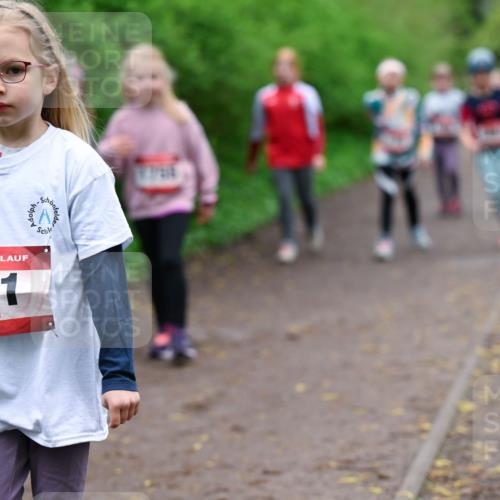 19.04.2026 - Hammer Lauf Dr. Thomas Lammeyer http://msf.ph/oto/9528599 19.04.2026 09:28:06 Laufen 851 meine-sportfotos.de