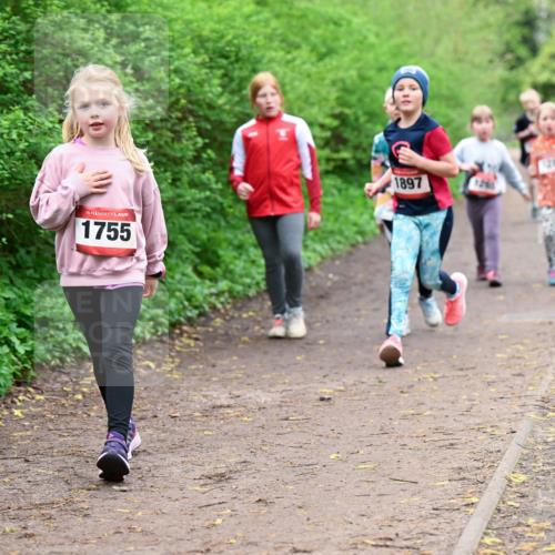 19.04.2026 - Hammer Lauf Dr. Thomas Lammeyer http://msf.ph/oto/9528610 19.04.2026 09:28:07 Laufen 1752, 1755, 1897 meine-sportfotos.de