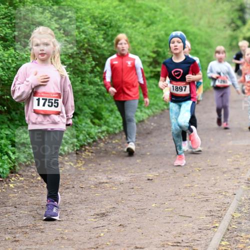 19.04.2026 - Hammer Lauf Dr. Thomas Lammeyer http://msf.ph/oto/9528611 19.04.2026 09:28:07 Laufen 1752, 1755, 1897 meine-sportfotos.de
