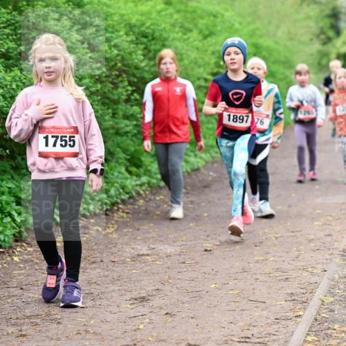 19.04.2026 - Hammer Lauf Dr. Thomas Lammeyer http://msf.ph/oto/9528613 19.04.2026 09:28:07 Laufen 1752, 1755, 1897, 1290 meine-sportfotos.de