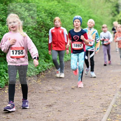 19.04.2026 - Hammer Lauf Dr. Thomas Lammeyer http://msf.ph/oto/9528616 19.04.2026 09:28:07 Laufen 752, 1755, 1897 meine-sportfotos.de