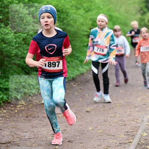 19.04.2026 - Hammer Lauf Dr. Thomas Lammeyer http://msf.ph/oto/9528622 19.04.2026 09:28:08 Laufen 755, 1897, 776 meine-sportfotos.de