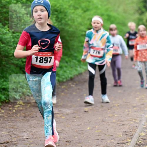 19.04.2026 - Hammer Lauf Dr. Thomas Lammeyer http://msf.ph/oto/9528624 19.04.2026 09:28:08 Laufen 1897, 776 meine-sportfotos.de