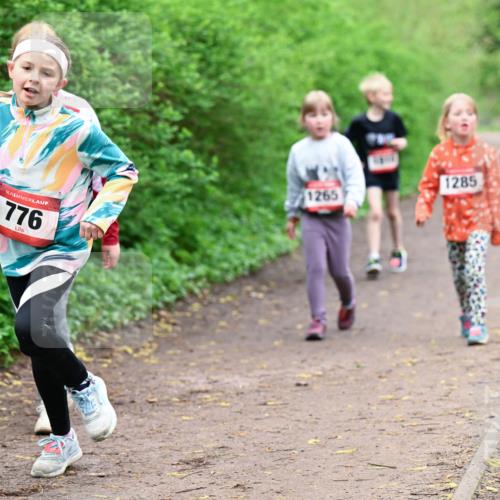 19.04.2026 - Hammer Lauf Dr. Thomas Lammeyer http://msf.ph/oto/9528639 19.04.2026 09:28:10 Laufen 776, 1265, 1285 meine-sportfotos.de