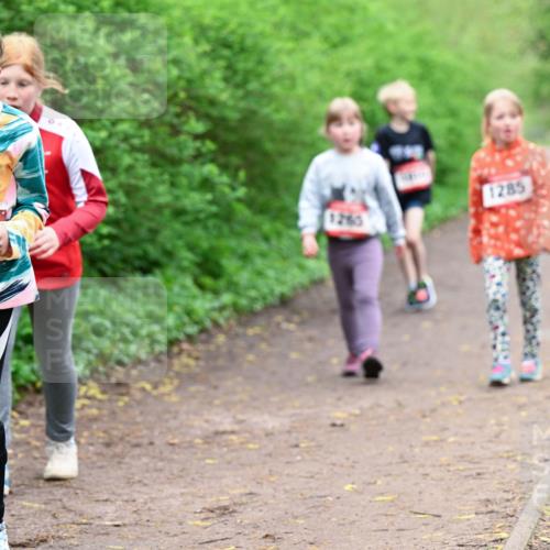 19.04.2026 - Hammer Lauf Dr. Thomas Lammeyer http://msf.ph/oto/9528641 19.04.2026 09:28:10 Laufen 776, 1265, 1285 meine-sportfotos.de