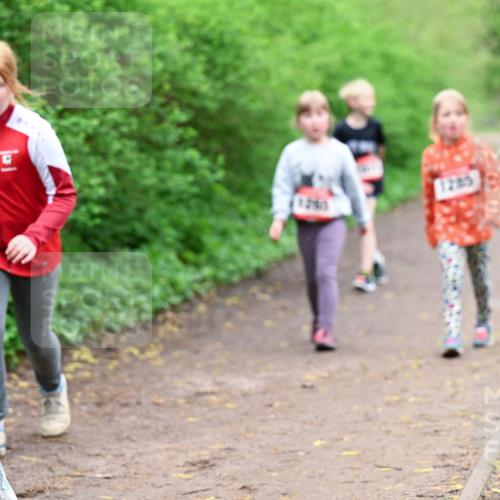 19.04.2026 - Hammer Lauf Dr. Thomas Lammeyer http://msf.ph/oto/9528642 19.04.2026 09:28:10 Laufen 776, 1285 meine-sportfotos.de