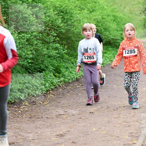 19.04.2026 - Hammer Lauf Dr. Thomas Lammeyer http://msf.ph/oto/9528645 19.04.2026 09:28:11 Laufen 1265, 1285 meine-sportfotos.de