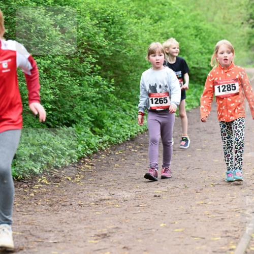 19.04.2026 - Hammer Lauf Dr. Thomas Lammeyer http://msf.ph/oto/9528647 19.04.2026 09:28:11 Laufen 1265, 1285 meine-sportfotos.de