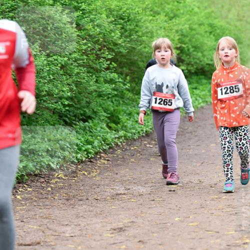19.04.2026 - Hammer Lauf Dr. Thomas Lammeyer http://msf.ph/oto/9528653 19.04.2026 09:28:11 Laufen 1265, 1285 meine-sportfotos.de