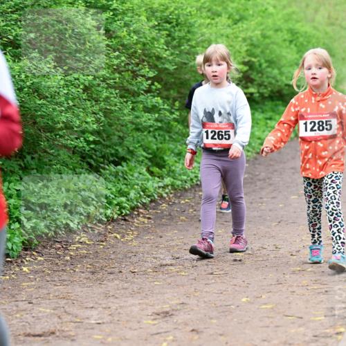 19.04.2026 - Hammer Lauf Dr. Thomas Lammeyer http://msf.ph/oto/9528656 19.04.2026 09:28:12 Laufen 1265, 1285 meine-sportfotos.de