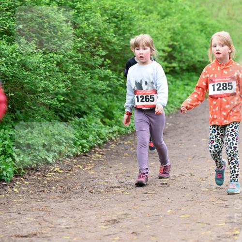 19.04.2026 - Hammer Lauf Dr. Thomas Lammeyer http://msf.ph/oto/9528658 19.04.2026 09:28:12 Laufen 1265, 1285 meine-sportfotos.de