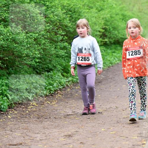 19.04.2026 - Hammer Lauf Dr. Thomas Lammeyer http://msf.ph/oto/9528659 19.04.2026 09:28:12 Laufen 1265, 1285 meine-sportfotos.de