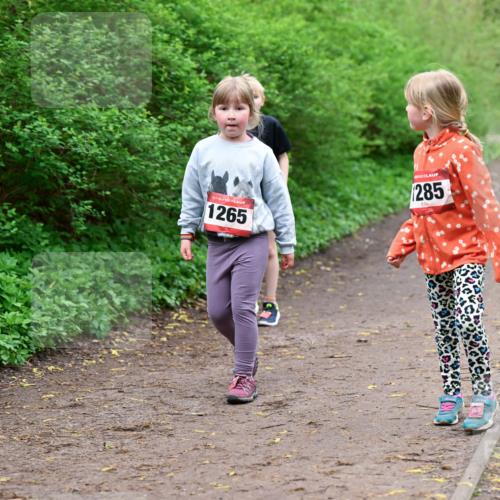 19.04.2026 - Hammer Lauf Dr. Thomas Lammeyer http://msf.ph/oto/9528671 19.04.2026 09:28:13 Laufen 1265, 285 meine-sportfotos.de