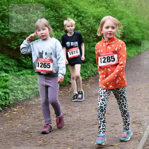 19.04.2026 - Hammer Lauf Dr. Thomas Lammeyer http://msf.ph/oto/9528684 19.04.2026 09:28:14 Laufen 1265, 1910, 1285 meine-sportfotos.de