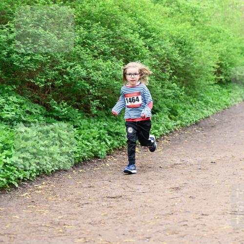 19.04.2026 - Hammer Lauf Dr. Thomas Lammeyer http://msf.ph/oto/9528690 19.04.2026 09:28:32 Laufen 1464 meine-sportfotos.de