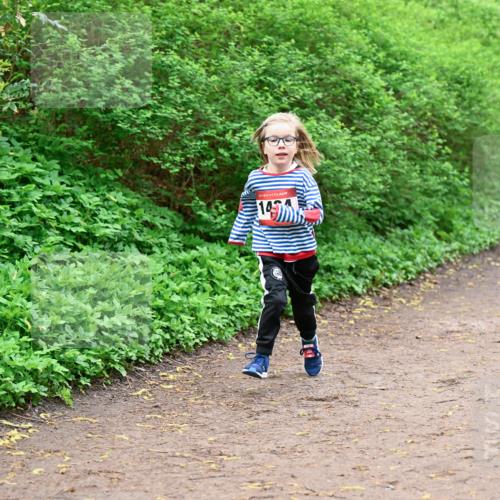 19.04.2026 - Hammer Lauf Dr. Thomas Lammeyer http://msf.ph/oto/9528696 19.04.2026 09:28:33 Laufen  meine-sportfotos.de