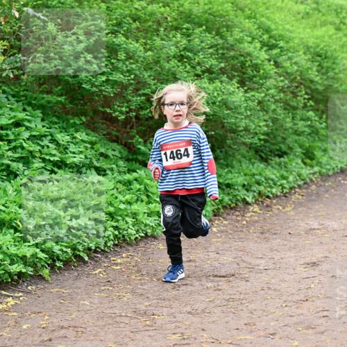 19.04.2026 - Hammer Lauf Dr. Thomas Lammeyer http://msf.ph/oto/9528698 19.04.2026 09:28:33 Laufen 1464 meine-sportfotos.de
