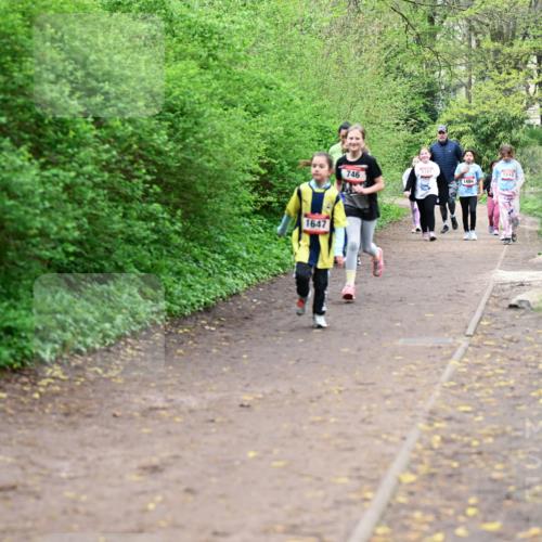 19.04.2026 - Hammer Lauf Dr. Thomas Lammeyer http://msf.ph/oto/9528701 19.04.2026 09:28:36 Laufen 1647, 746, 1381, 1510, 1484 meine-sportfotos.de