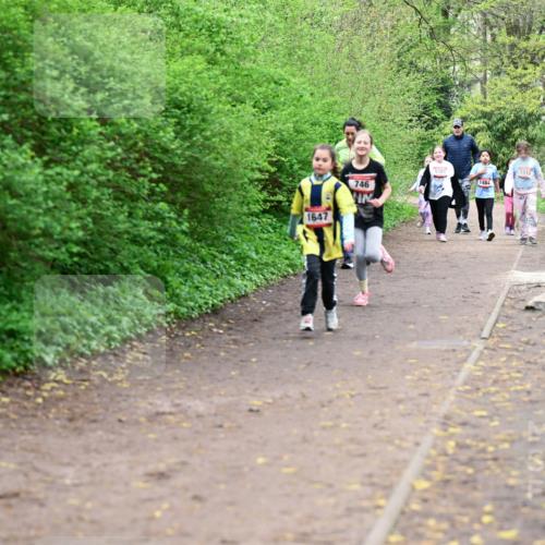 19.04.2026 - Hammer Lauf Dr. Thomas Lammeyer http://msf.ph/oto/9528703 19.04.2026 09:28:36 Laufen 746, 1647, 1381, 1510, 1484 meine-sportfotos.de
