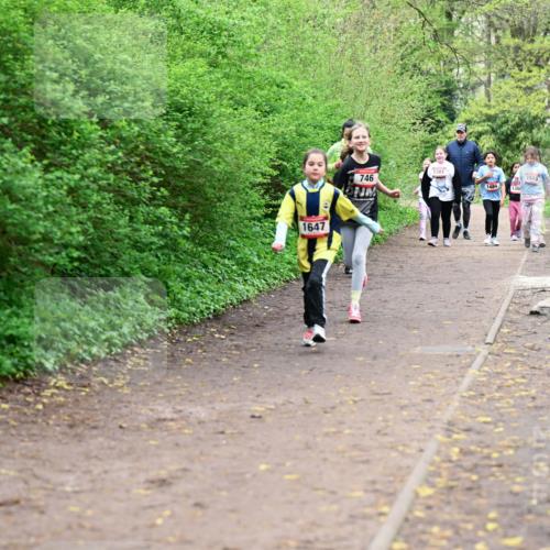 19.04.2026 - Hammer Lauf Dr. Thomas Lammeyer http://msf.ph/oto/9528704 19.04.2026 09:28:37 Laufen 1381, 746, 1510, 1484, 1647 meine-sportfotos.de