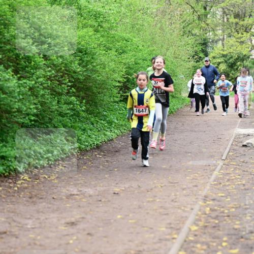 19.04.2026 - Hammer Lauf Dr. Thomas Lammeyer http://msf.ph/oto/9528710 19.04.2026 09:28:37 Laufen 1647, 1381, 1510 meine-sportfotos.de