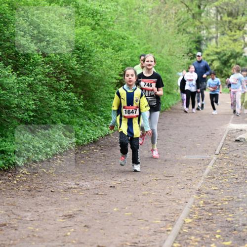 19.04.2026 - Hammer Lauf Dr. Thomas Lammeyer http://msf.ph/oto/9528714 19.04.2026 09:28:38 Laufen 746, 1647 meine-sportfotos.de