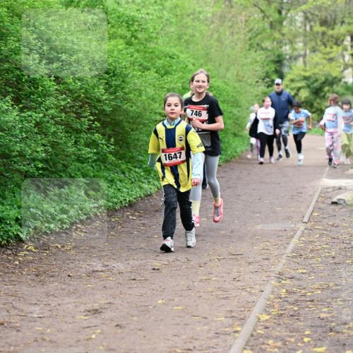 19.04.2026 - Hammer Lauf Dr. Thomas Lammeyer http://msf.ph/oto/9528715 19.04.2026 09:28:38 Laufen 746, 1647 meine-sportfotos.de