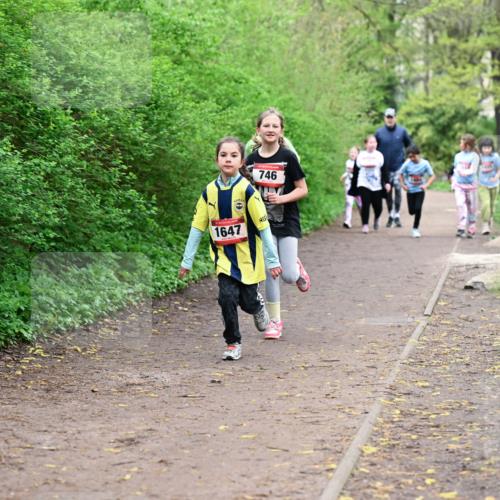19.04.2026 - Hammer Lauf Dr. Thomas Lammeyer http://msf.ph/oto/9528718 19.04.2026 09:28:38 Laufen 746, 1647 meine-sportfotos.de