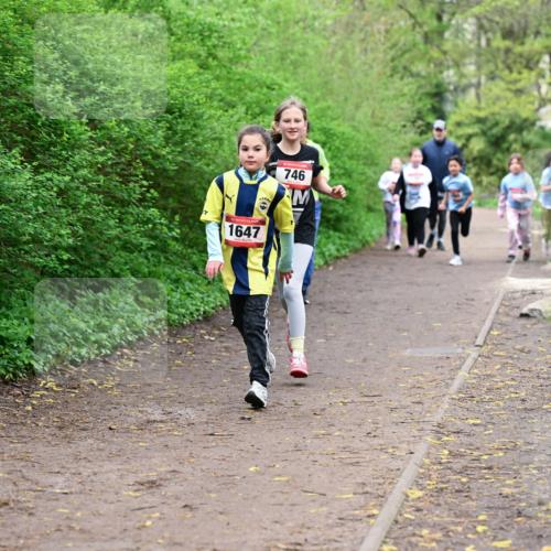 19.04.2026 - Hammer Lauf Dr. Thomas Lammeyer http://msf.ph/oto/9528720 19.04.2026 09:28:38 Laufen 1647, 746 meine-sportfotos.de
