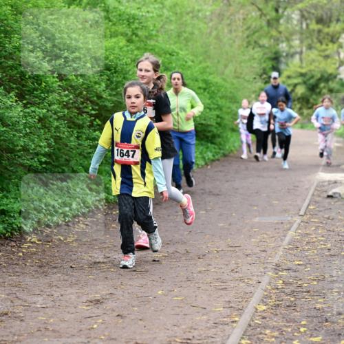 19.04.2026 - Hammer Lauf Dr. Thomas Lammeyer http://msf.ph/oto/9528723 19.04.2026 09:28:38 Laufen 1647 meine-sportfotos.de