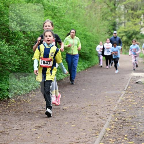 19.04.2026 - Hammer Lauf Dr. Thomas Lammeyer http://msf.ph/oto/9528728 19.04.2026 09:28:39 Laufen 1647 meine-sportfotos.de