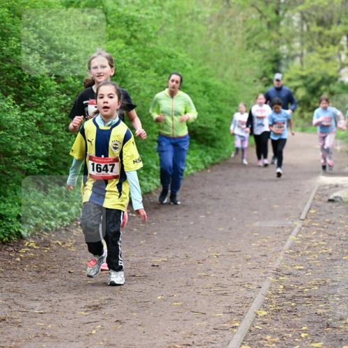 19.04.2026 - Hammer Lauf Dr. Thomas Lammeyer http://msf.ph/oto/9528729 19.04.2026 09:28:39 Laufen 1647 meine-sportfotos.de