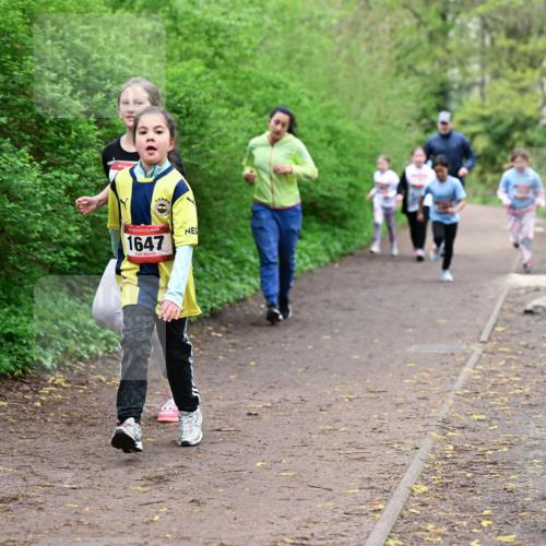 19.04.2026 - Hammer Lauf Dr. Thomas Lammeyer http://msf.ph/oto/9528731 19.04.2026 09:28:39 Laufen 1647 meine-sportfotos.de