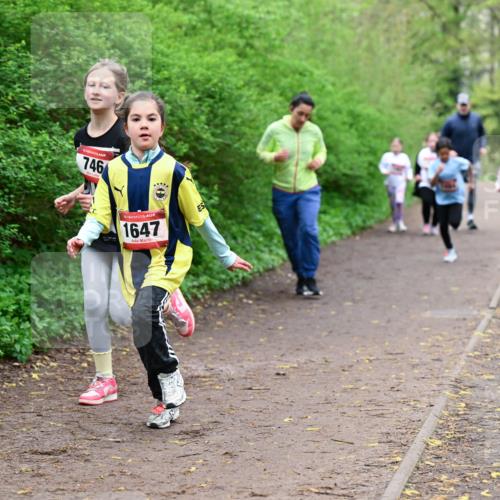 19.04.2026 - Hammer Lauf Dr. Thomas Lammeyer http://msf.ph/oto/9528734 19.04.2026 09:28:39 Laufen 746, 1647 meine-sportfotos.de