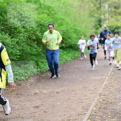 19.04.2026 - Hammer Lauf Dr. Thomas Lammeyer http://msf.ph/oto/9528739 19.04.2026 09:28:40 Laufen 1647 meine-sportfotos.de