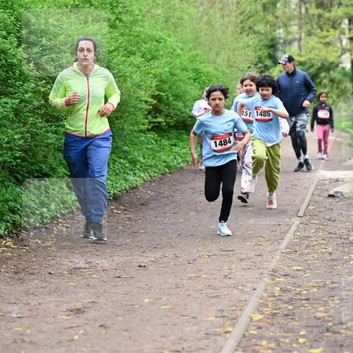 19.04.2026 - Hammer Lauf Dr. Thomas Lammeyer http://msf.ph/oto/9528743 19.04.2026 09:28:41 Laufen 1484, 151, 1485 meine-sportfotos.de