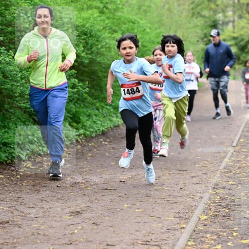 19.04.2026 - Hammer Lauf Dr. Thomas Lammeyer http://msf.ph/oto/9528751 19.04.2026 09:28:41 Laufen 1484 meine-sportfotos.de