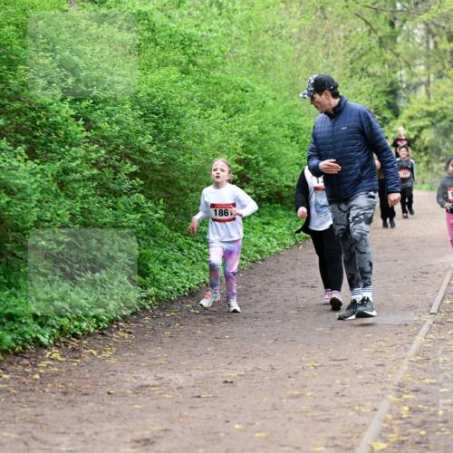 19.04.2026 - Hammer Lauf Dr. Thomas Lammeyer http://msf.ph/oto/9528781 19.04.2026 09:28:45 Laufen 186, 1366 meine-sportfotos.de