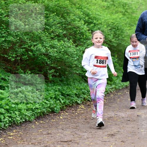 19.04.2026 - Hammer Lauf Dr. Thomas Lammeyer http://msf.ph/oto/9528808 19.04.2026 09:28:47 Laufen 1861, 1381 meine-sportfotos.de