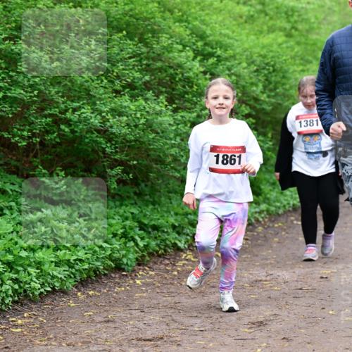 19.04.2026 - Hammer Lauf Dr. Thomas Lammeyer http://msf.ph/oto/9528809 19.04.2026 09:28:47 Laufen 1861, 1381 meine-sportfotos.de