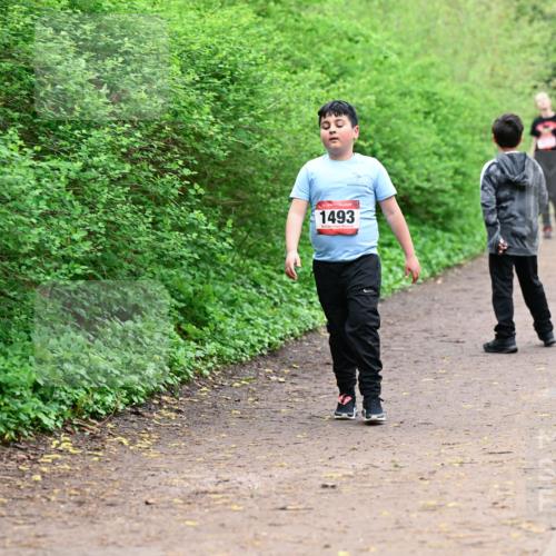 19.04.2026 - Hammer Lauf Dr. Thomas Lammeyer http://msf.ph/oto/9528861 19.04.2026 09:28:53 Laufen 1493 meine-sportfotos.de