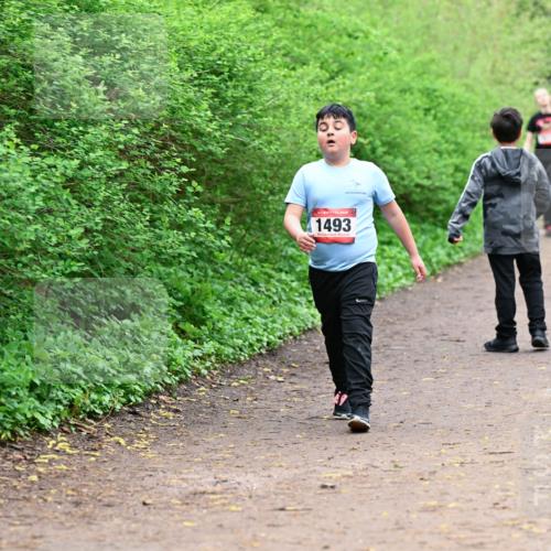 19.04.2026 - Hammer Lauf Dr. Thomas Lammeyer http://msf.ph/oto/9528863 19.04.2026 09:28:53 Laufen 1493 meine-sportfotos.de