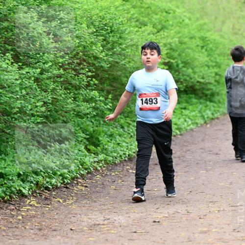 19.04.2026 - Hammer Lauf Dr. Thomas Lammeyer http://msf.ph/oto/9528868 19.04.2026 09:28:54 Laufen 1493 meine-sportfotos.de