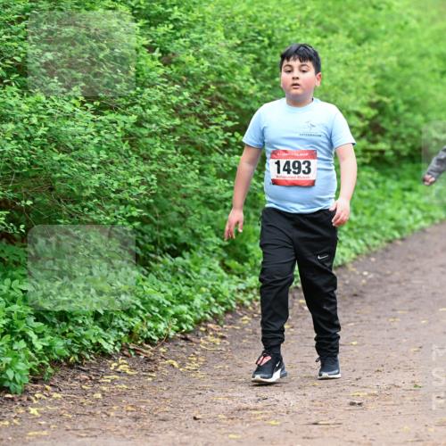 19.04.2026 - Hammer Lauf Dr. Thomas Lammeyer http://msf.ph/oto/9528877 19.04.2026 09:28:55 Laufen 1493 meine-sportfotos.de